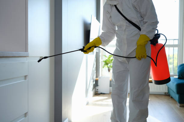 Best Mold Remediation Experts  in Byron, CA